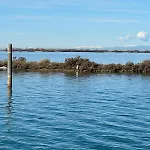Floating * Grado